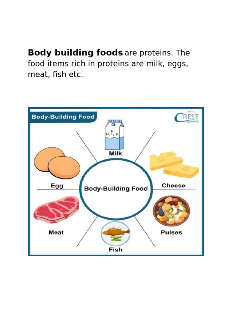 Bodybuilding Foods for Class 2 | PDF