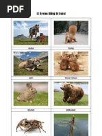 Download 15 Hewan Hidup Di Darat by Arie SE SN89932564 doc pdf