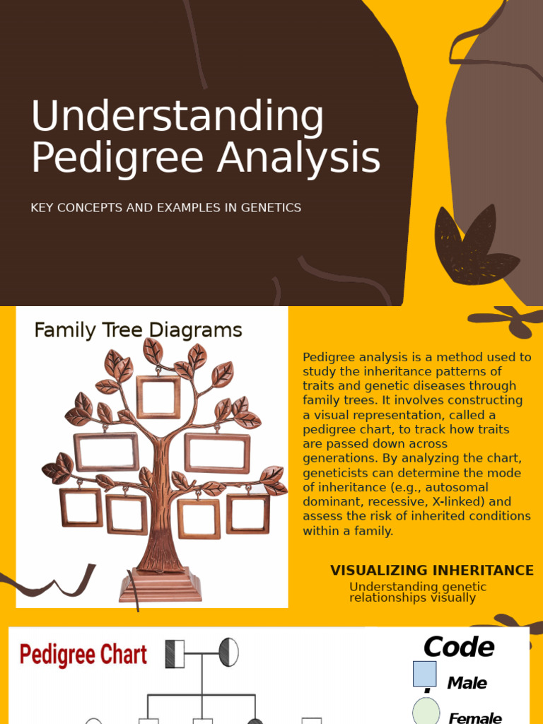 Understanding Pedigree Analysis 1 | PDF | Genotype | Dominance (Genetics)