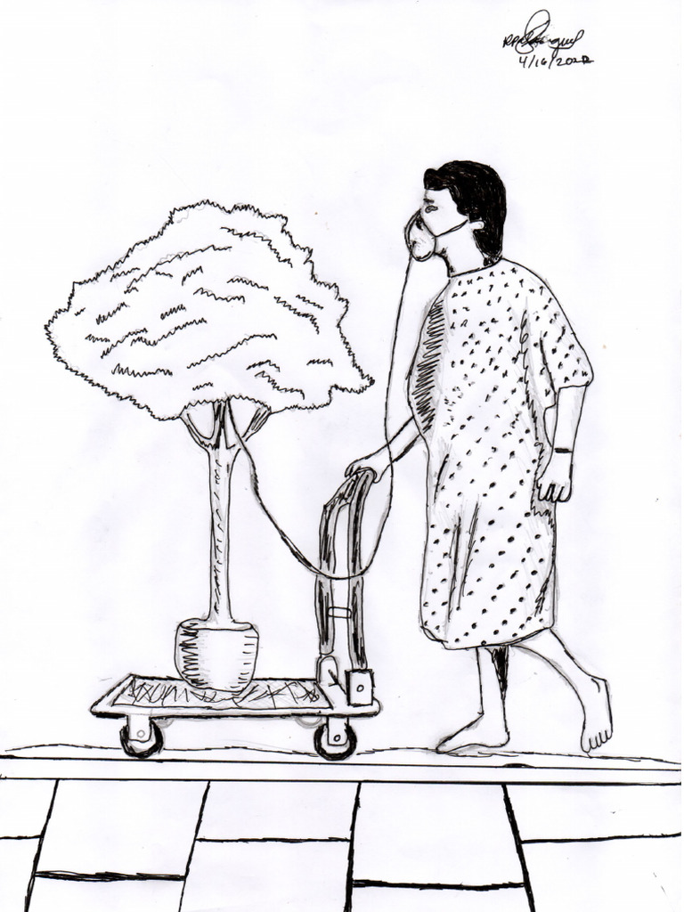 TP & Exam - Cpart - Drawing & Explanation - Palasigue | PDF