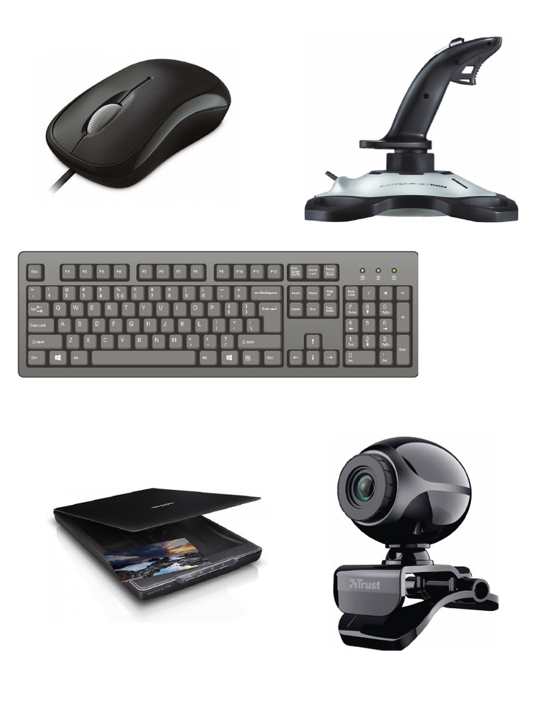 Input Images | PDF