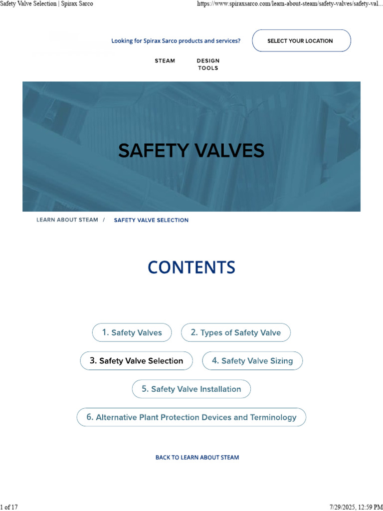 Safety Valve Selection Guide | PDF