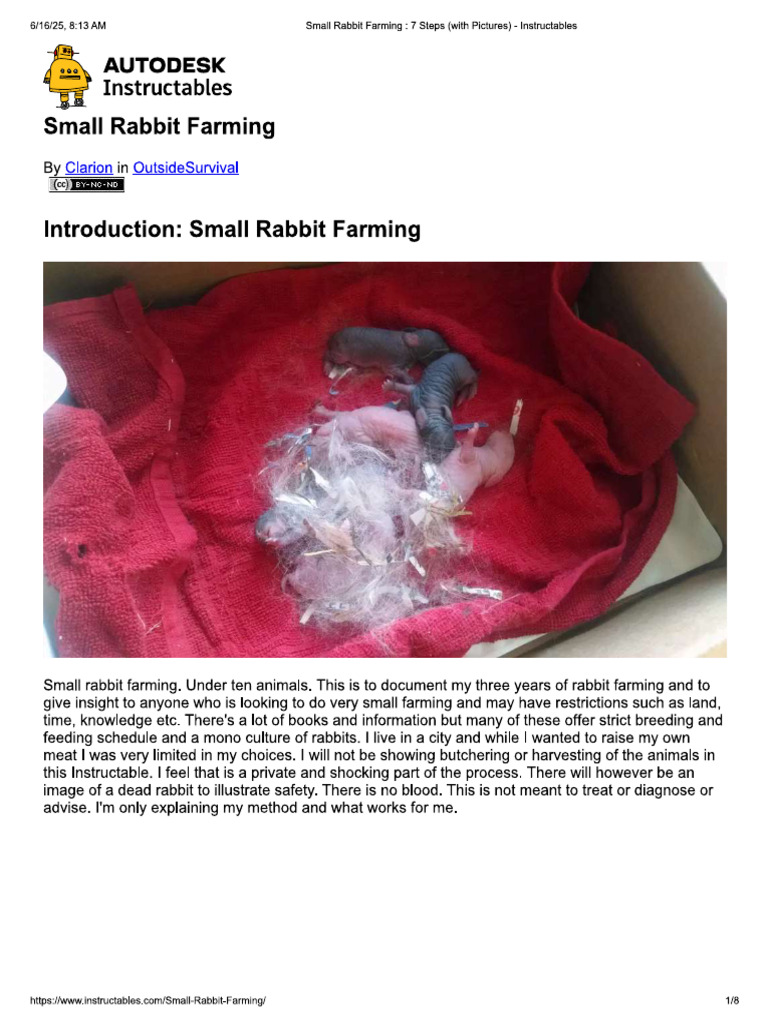 Rabbit Farm | PDF