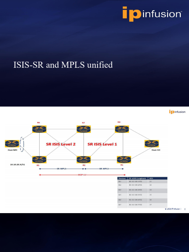 SR and BGP LU | PDF | Computer Science | Network Architecture