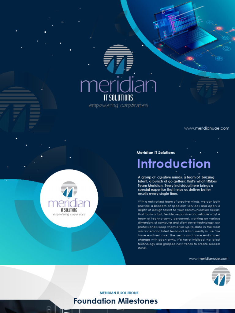 Meridian SEO Services Overview | PDF | Loyalty Program | Digital Marketing