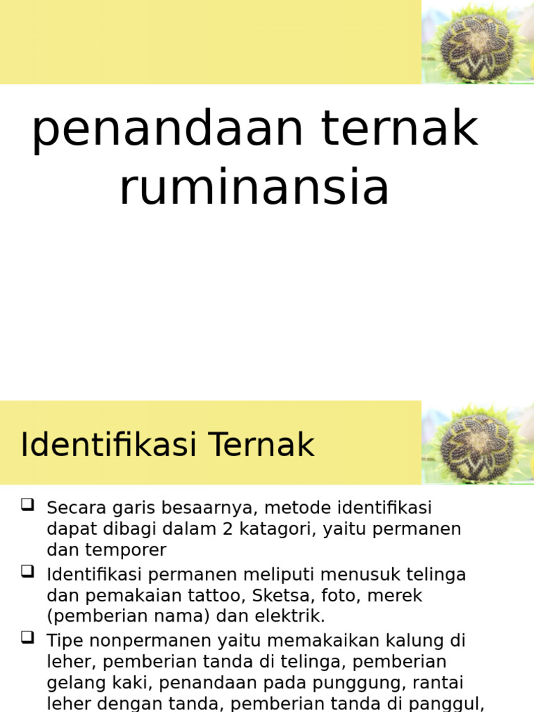 Metode Penandaan Ternak Ruminansia | PDF