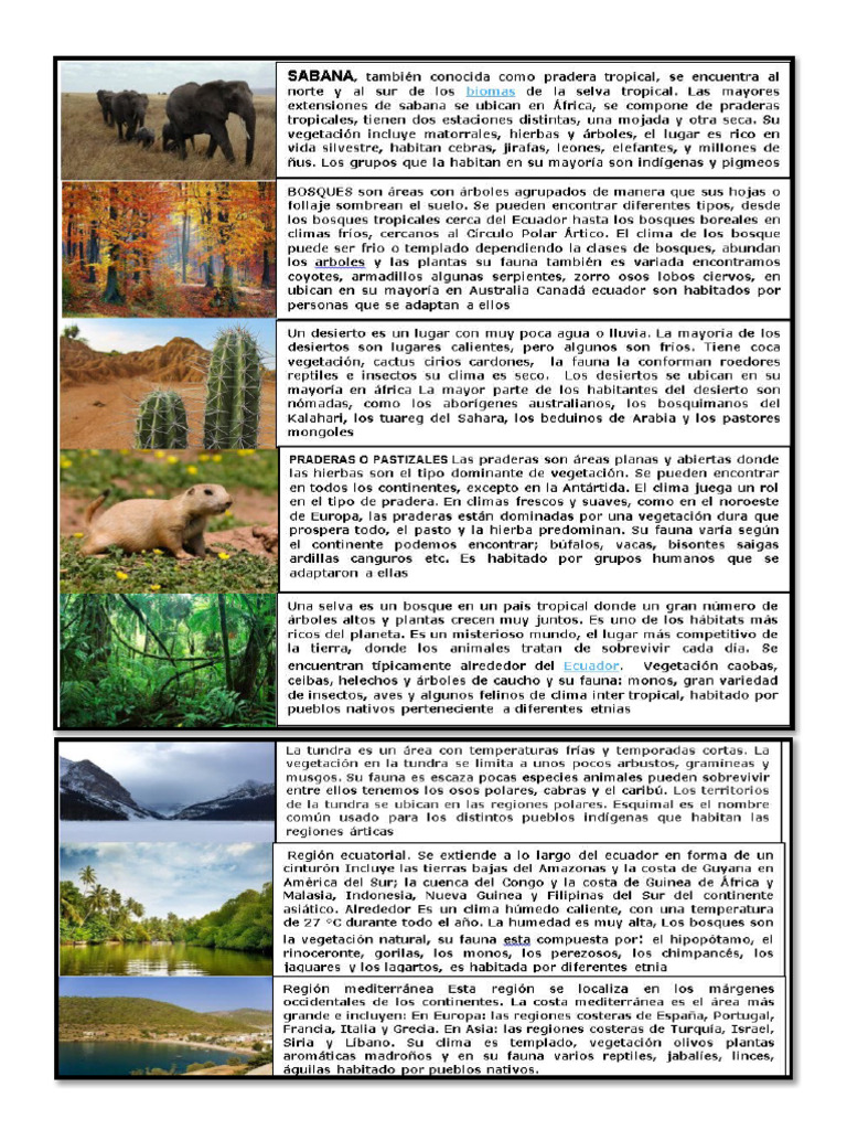 Regiones Naturales Del Mundo Texto 2 | PDF