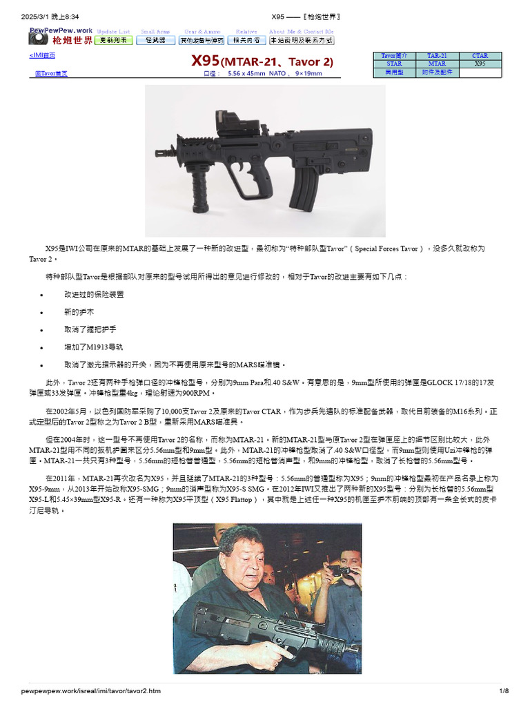 X95 - 〖枪炮世界〗 | PDF