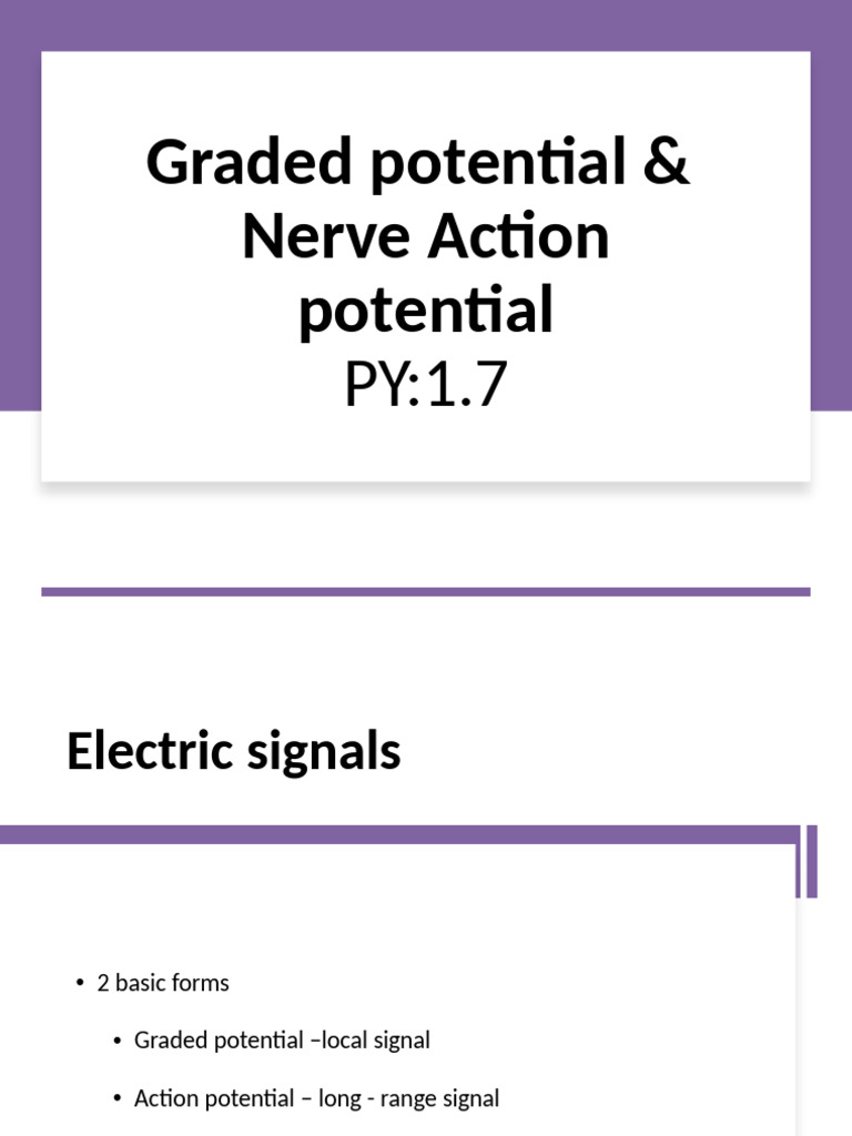 Neuron Action Potential Explained | PDF | Action Potential | Depolarization