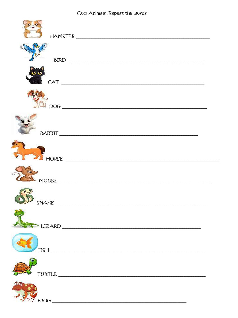 Cool Animal Activities for Kids | PDF | Pet | Zoology