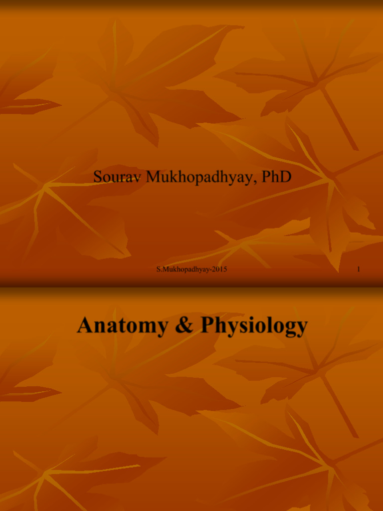 Basic Structures and Functions of Human Body | PDF | Anatomical Terms ...