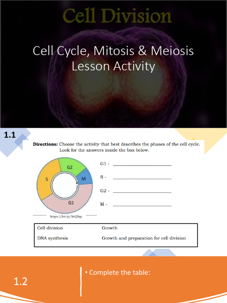 Cell Division: Mitosis & Meiosis Guide | PDF | Mitosis | Meiosis