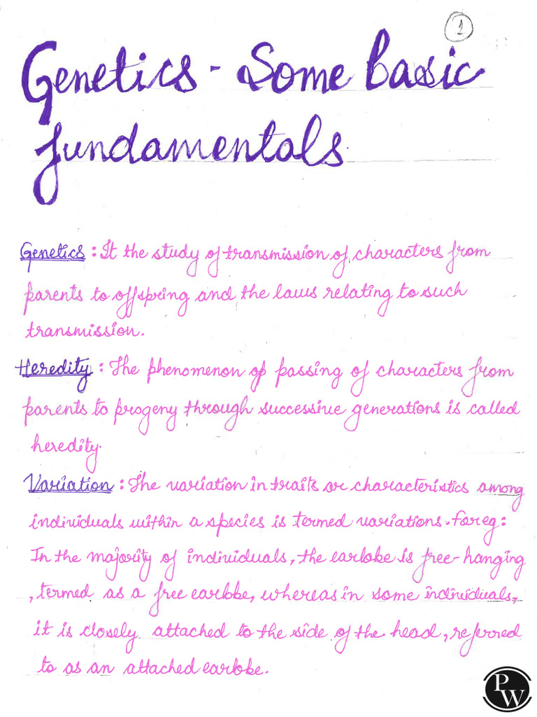 Genetics - Some Basic Fundamentals Handwritten Notes | PDF