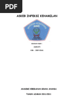 Download 004 Akbid Askeb Infeksi Kehamilan by Saswin Usman SN89948357 doc pdf