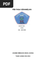Download 029 Akbid PEB Pada Kehamilan by Saswin Usman SN89948521 doc pdf