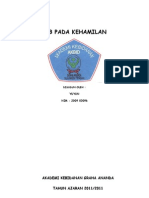 029 Akbid PEB Pada Kehamilan