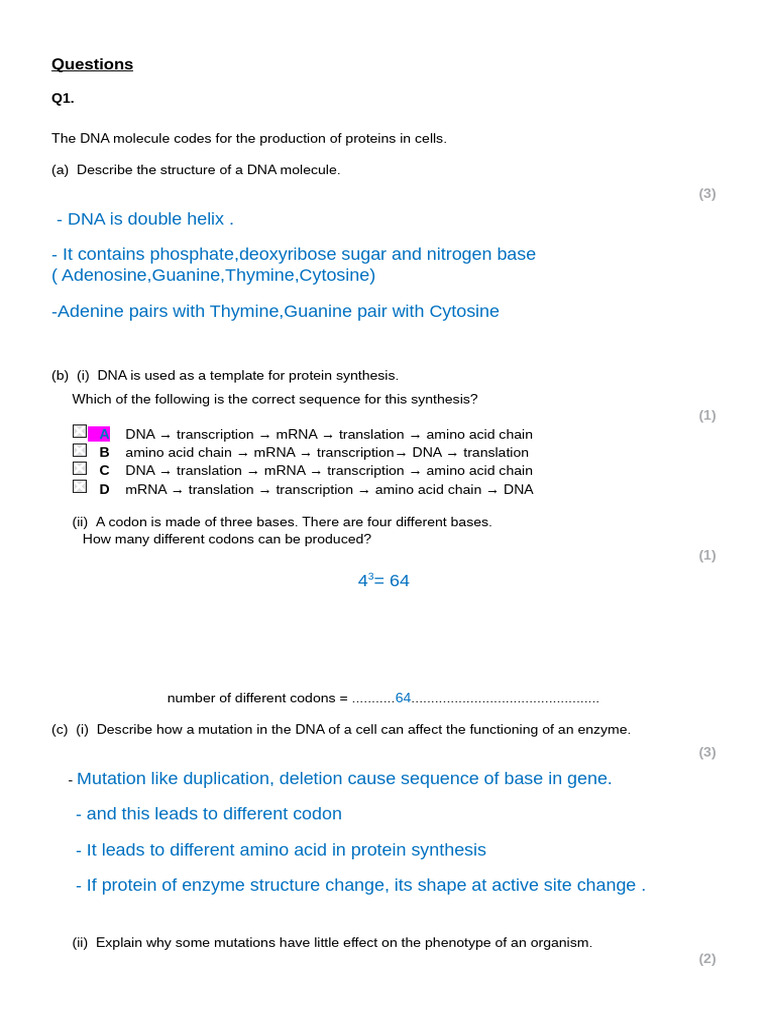 DNA Structure and Protein Synthesis Explained | PDF | Translation ...