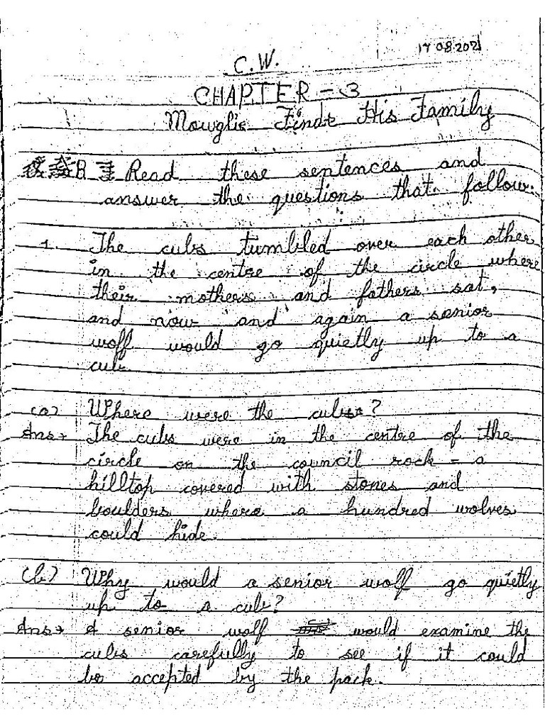 Aarav Laad (English Copy Work) Class-6C | PDF