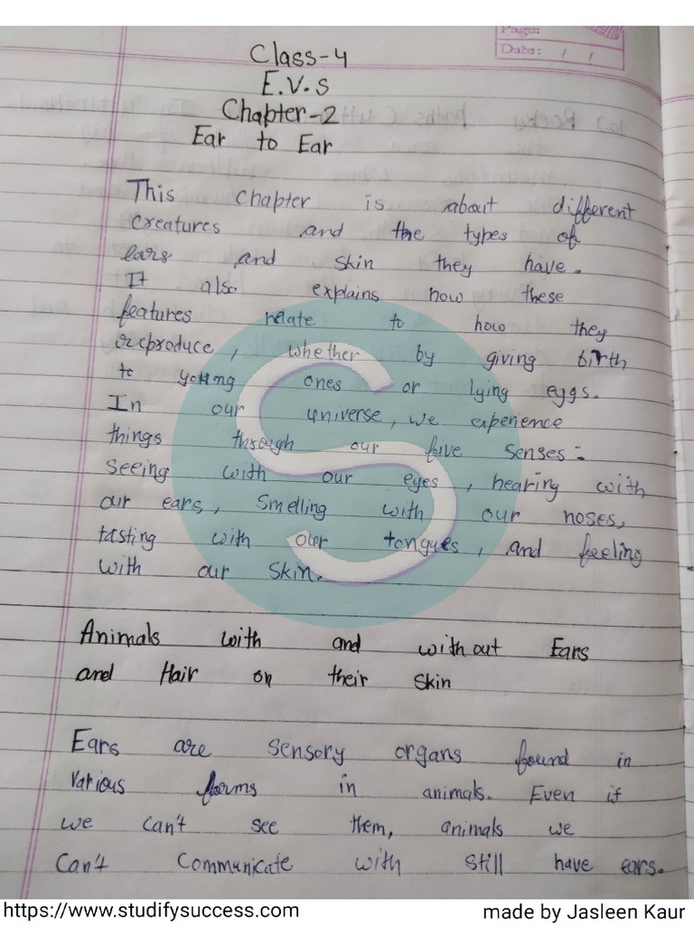 Class - 4 E.v.S Chapter - 2 | PDF