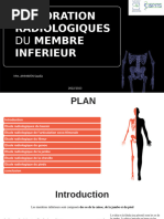 Scanopelvimétrie en obstétrique | PDF | Appareil locomoteur