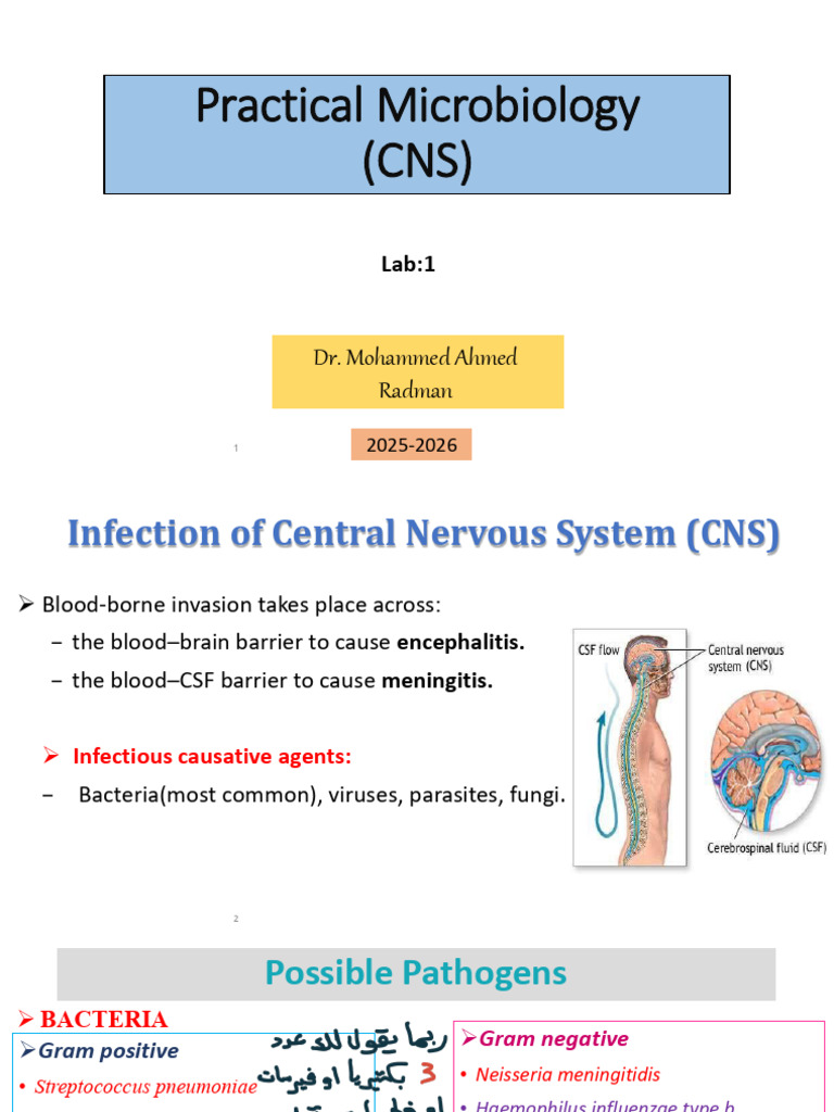CNS Infection Pathogens Overview | PDF | Cerebrospinal Fluid | Meningitis