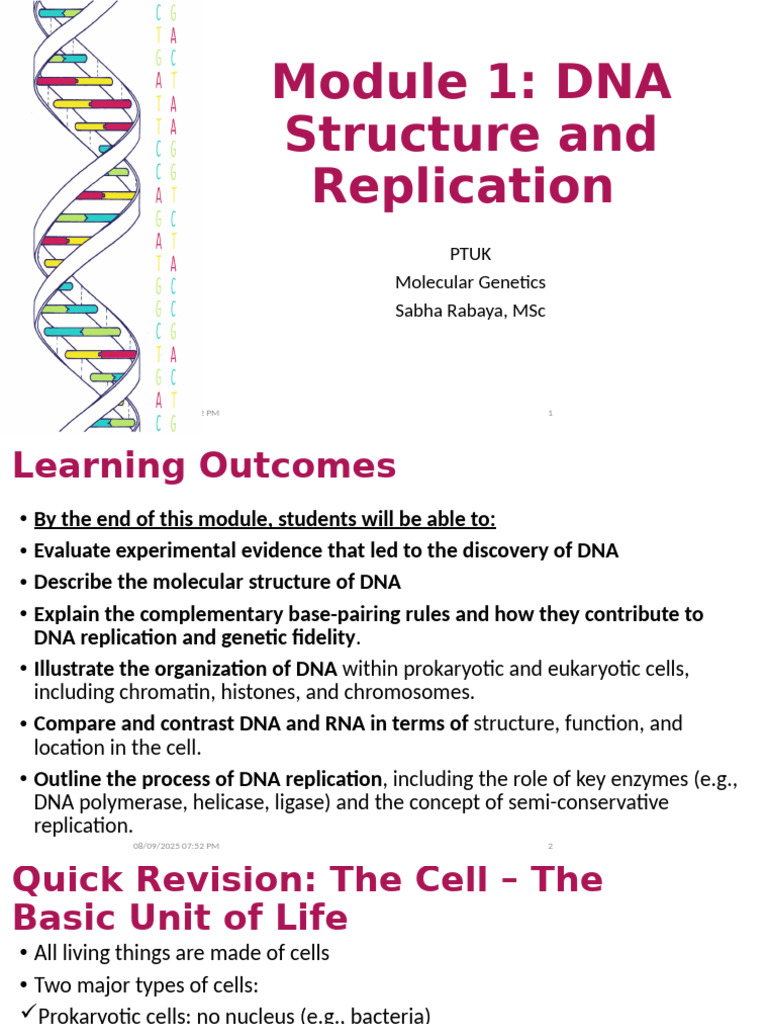 Molecular Genetics Module 1 - Part 1 | PDF | Nucleotides | Nucleic Acids