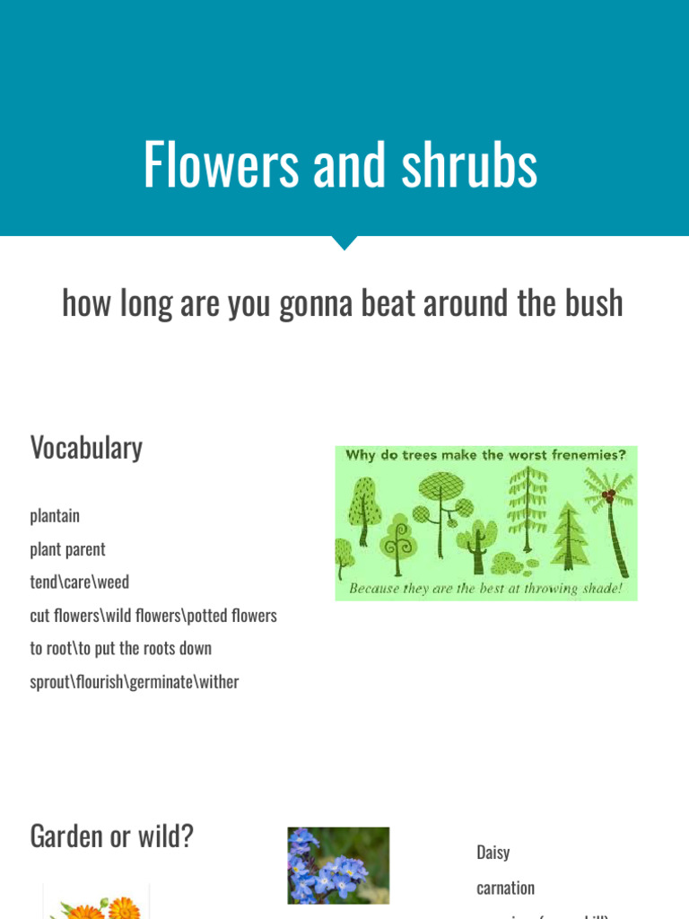 Understanding Flowers and Shrubs | PDF