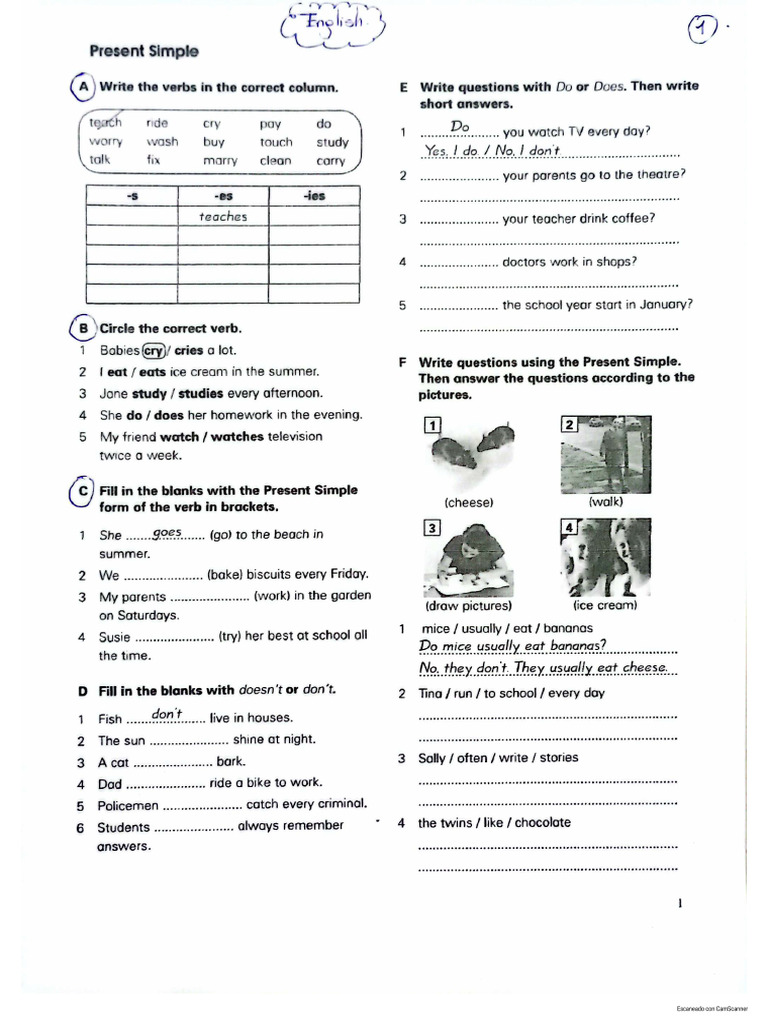 Practical Work Present Simple | PDF