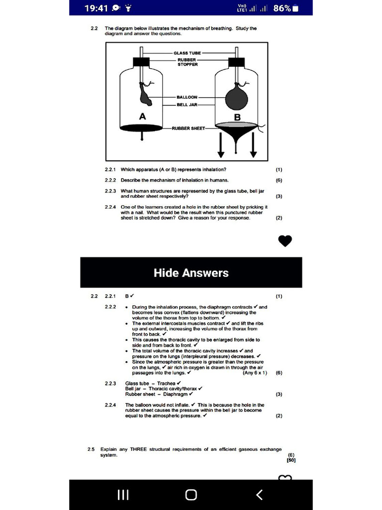 Pdfreader 20250810 0217 Pdf