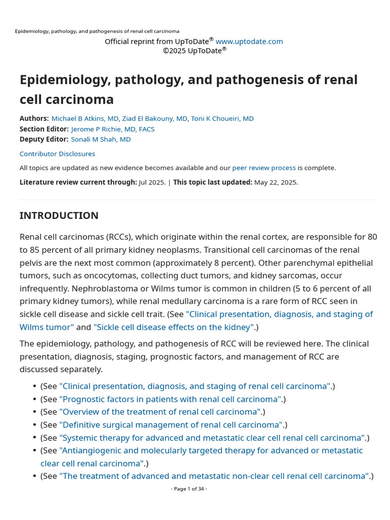 Renal Cell Carcinoma Overview | PDF | Kidney | Diseases And Disorders