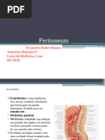 Anatomia do Peritônio e Cavidade Peritoneal | PDF | Peritônio | Corpo ...