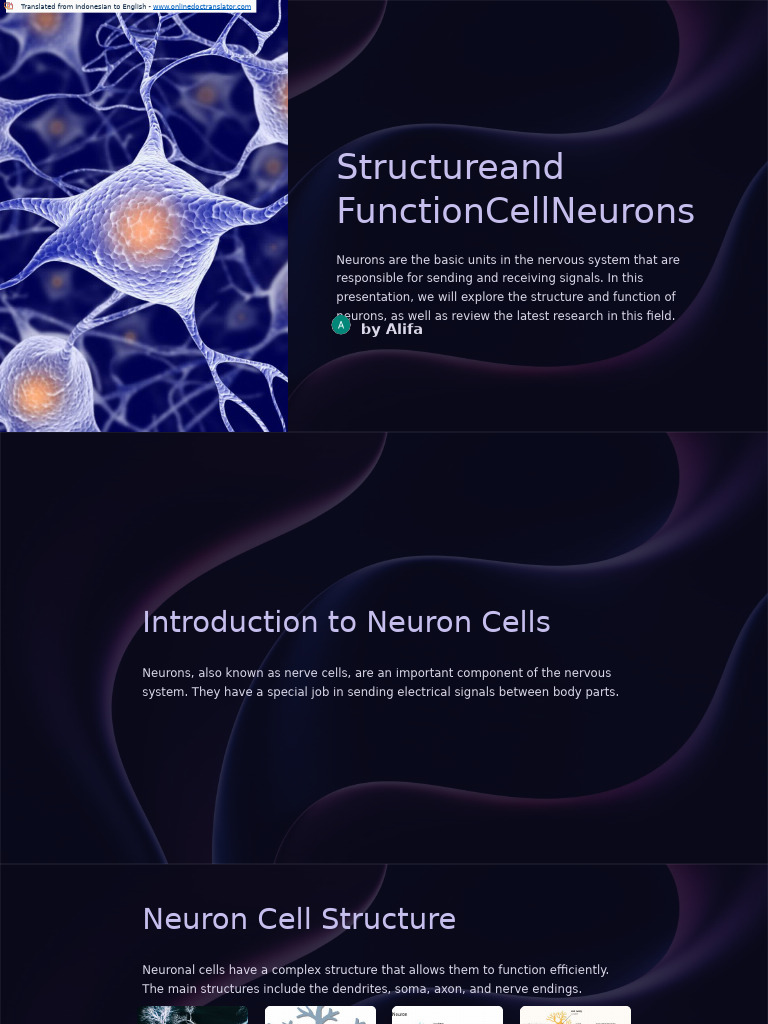 Structure and Function of Neurons | PDF | Neuron | Nervous System