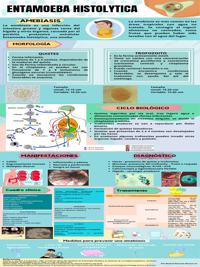 Infografia Entamoeba Histolytica VMMM | PDF | Especialidades Medicas ...