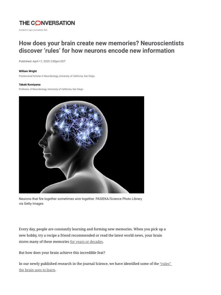 Brain's Rules for Memory Encoding Revealed | PDF | Synapse | Neuron