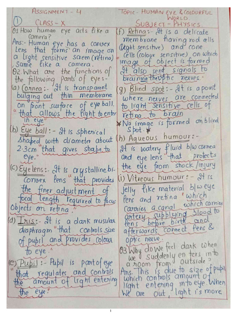 Human Eye Class 10 | PDF