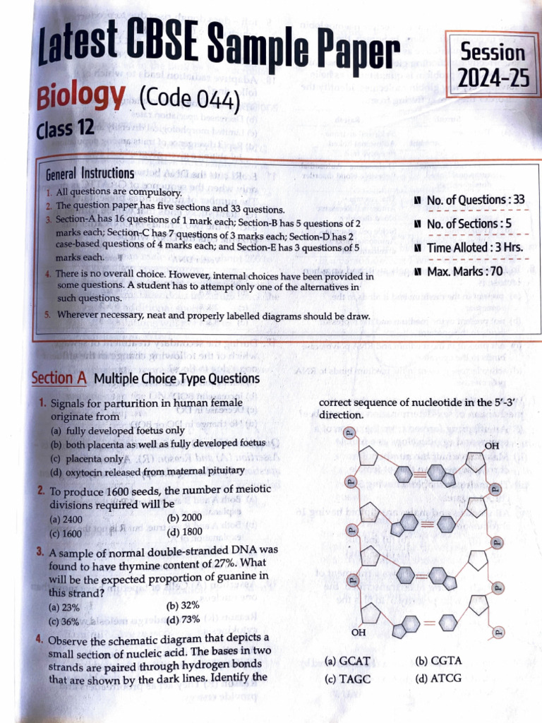 Biology Exam Paper 2024-25 Overview | PDF | Genetics | Molecular Genetics