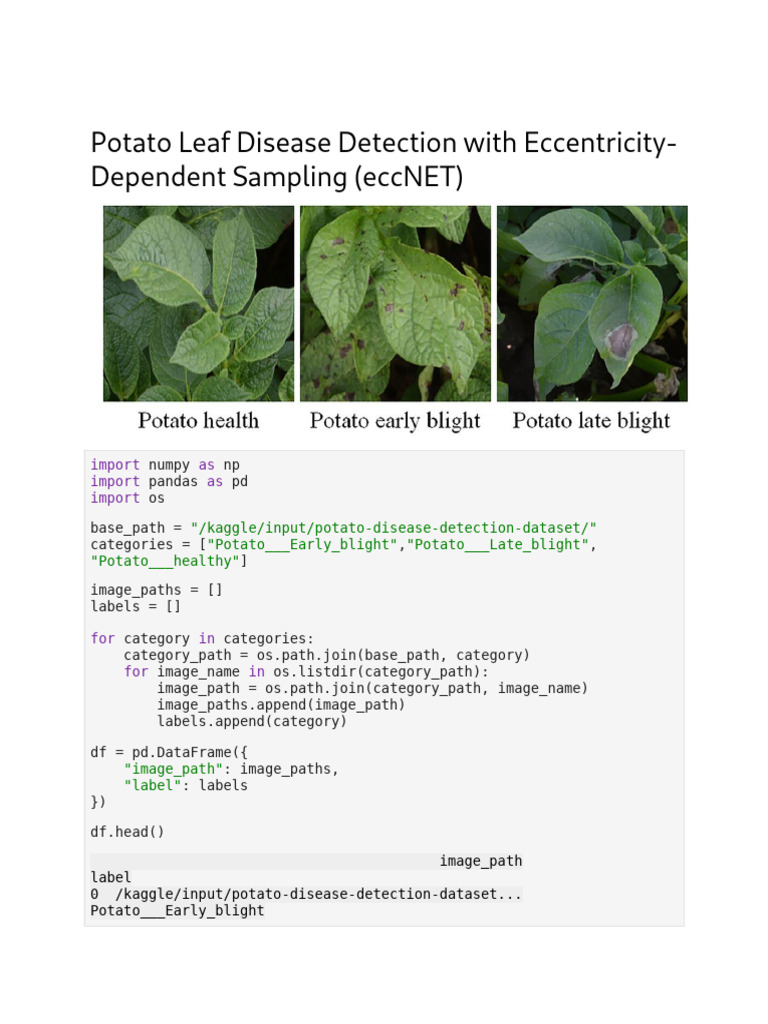 Potato Disease Detection Analysis | PDF | Accuracy And Precision