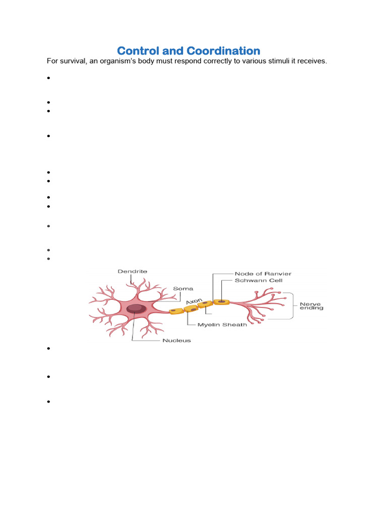 Control and Coordination in Organisms | PDF | Central Nervous System ...