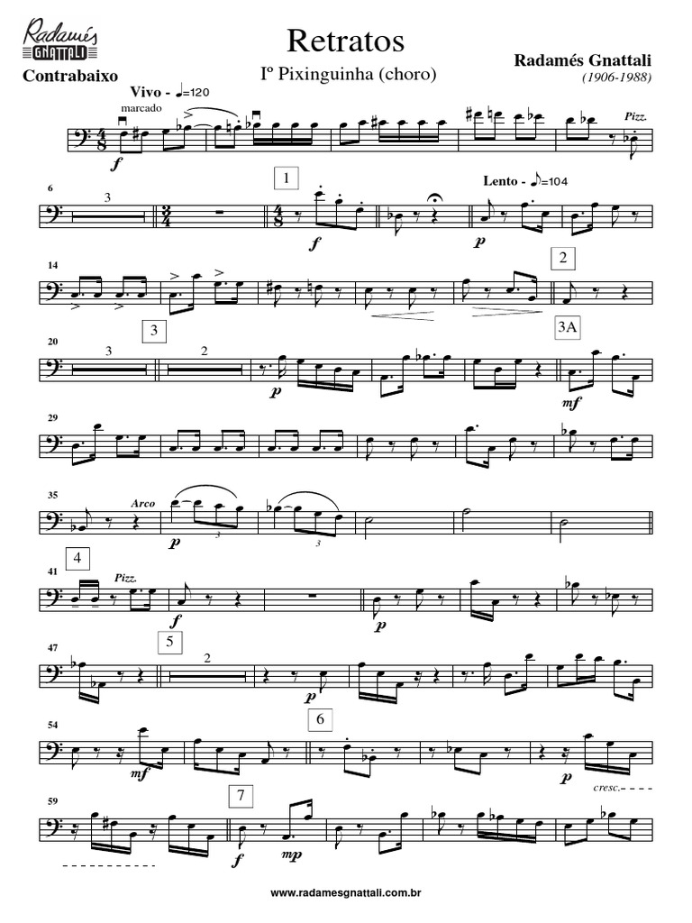 Œuvres de Radamés Gnattali pour Contrabaixo | PDF