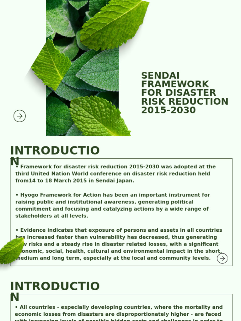 Sendai Framework For Disaster Risk Reduction 2015-2030 | PDF | Disaster ...