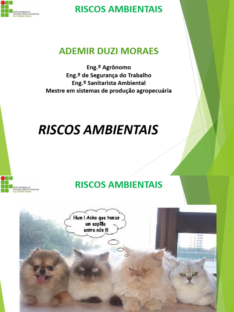 Classificação e Riscos Ambientais | PDF | Ambiente natural