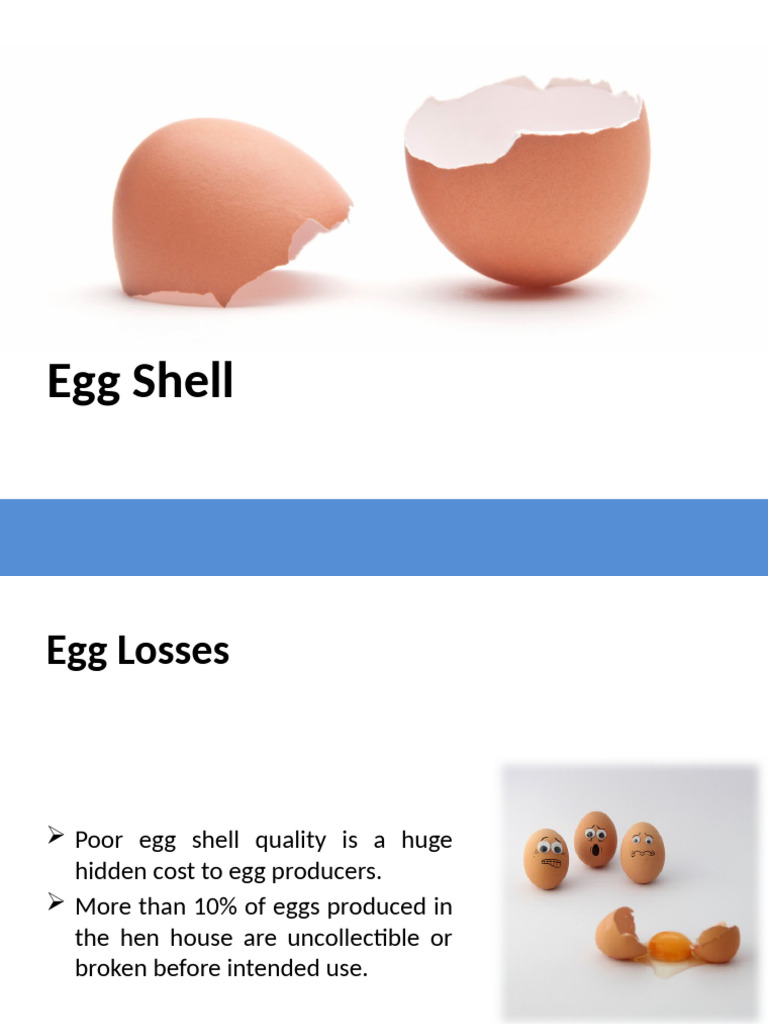 1 Eggshellqualitydefects 151122104347 Lva1 App6892 | PDF | Egg | Materials