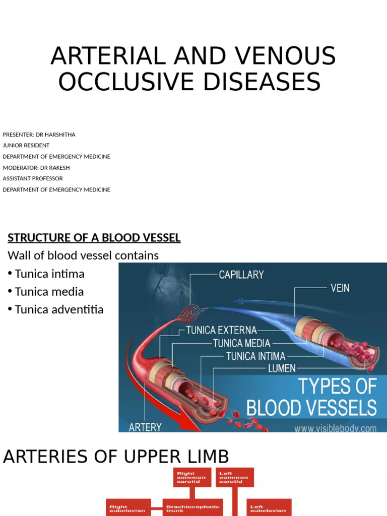 Claudication Pain Grades Explained | PDF | Thrombosis | Ischemia
