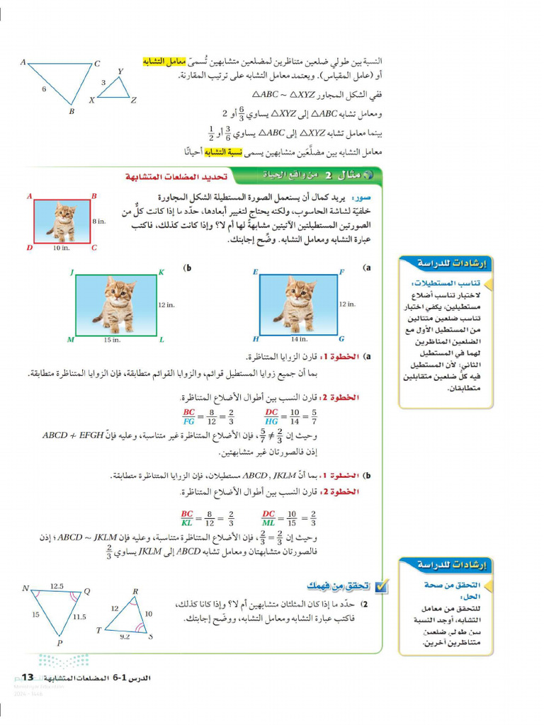 C3 | PDF