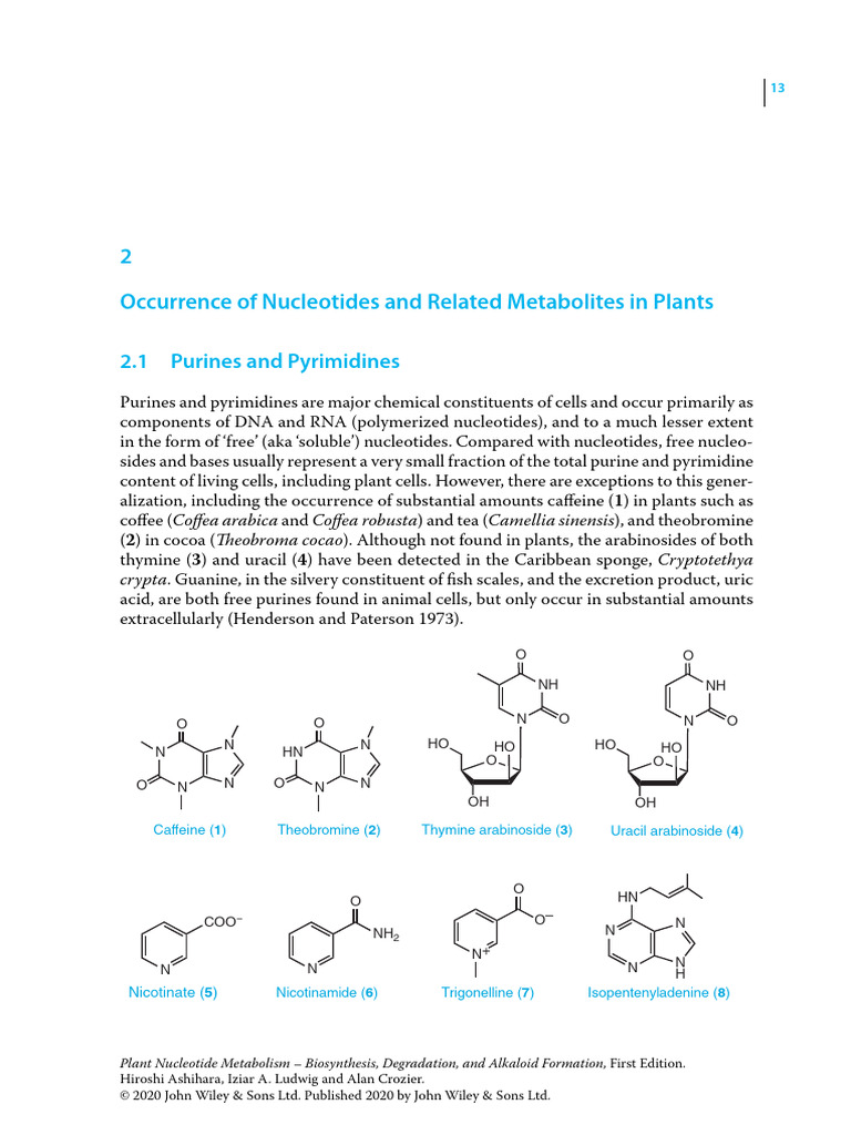 Nucleotide Metabolism in Plants | PDF | Nicotinamide Adenine ...