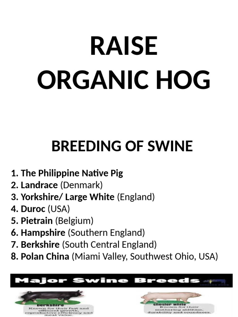 Organic Hog | PDF