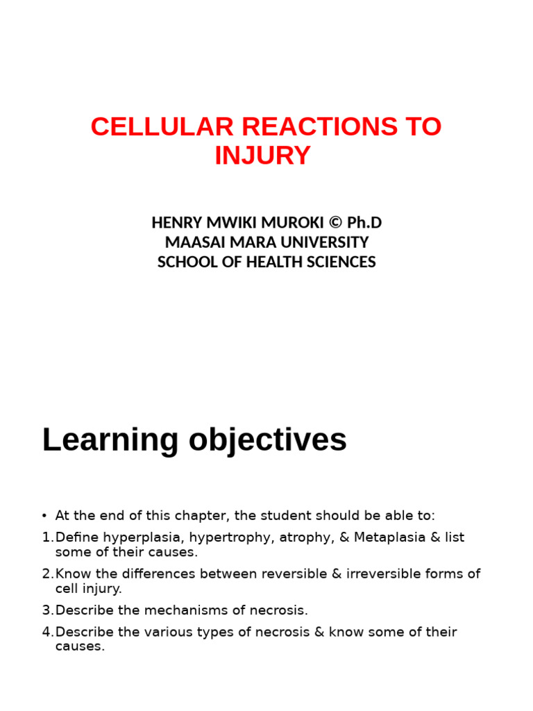 Cellular Reaction To Injury | PDF | Necrosis | Apoptosis