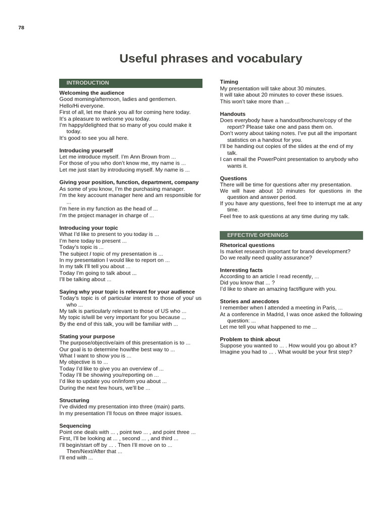 Essential Presentation Phrases Guide | PDF