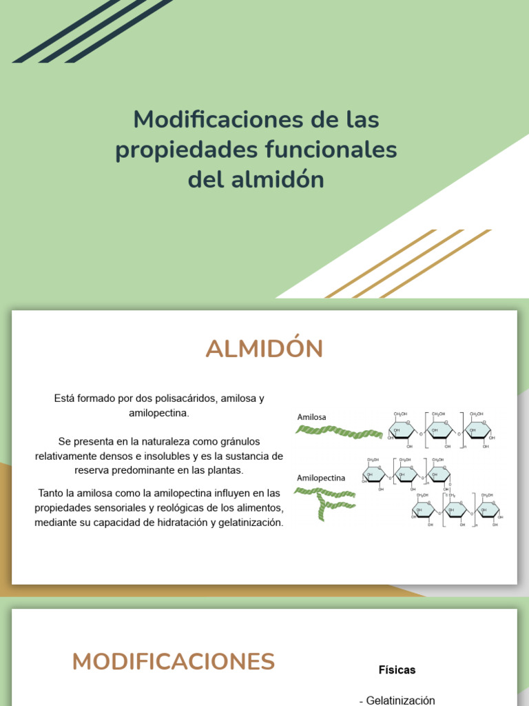 Modificaciones del almidón y sus propiedades | PDF | Almidón | Química