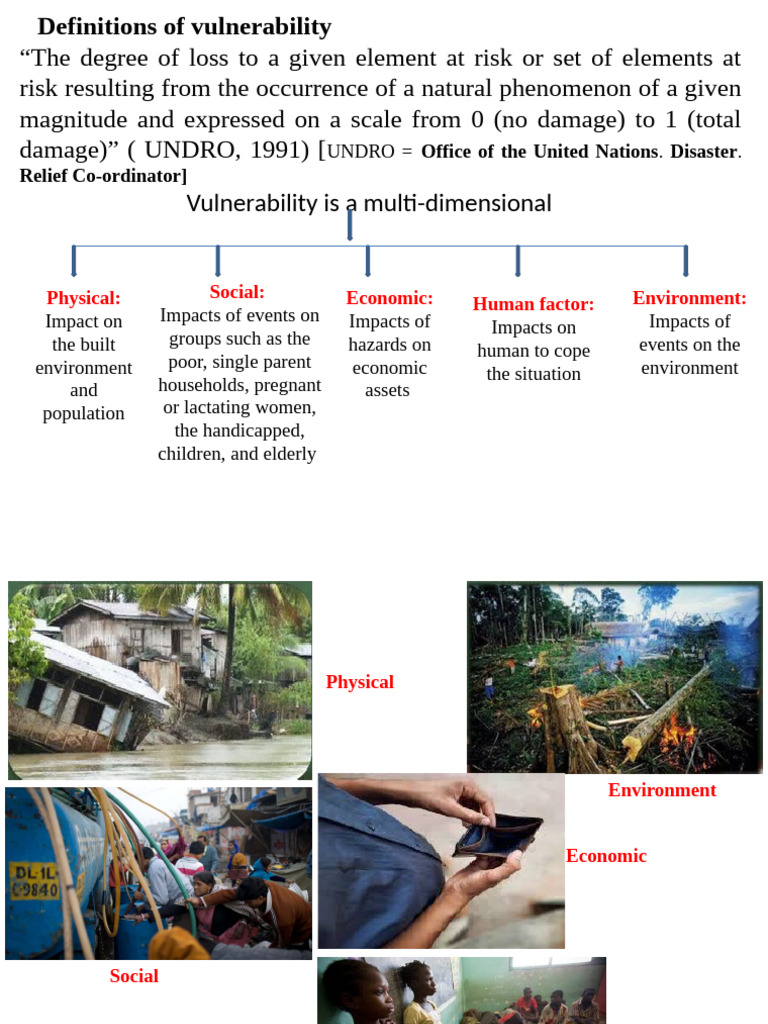 Understanding Vulnerability Factors | PDF
